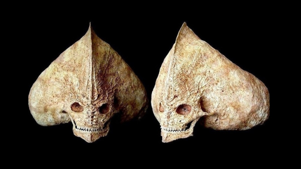 Надпись на необычном черепе указывала на связь с «воином Марса варяга Яра Рюрика»